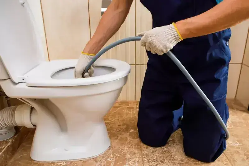 Toilet and tap repair in Bentleigh